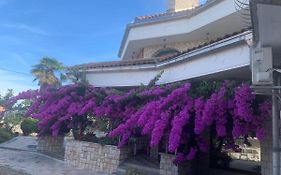 Villa Puric